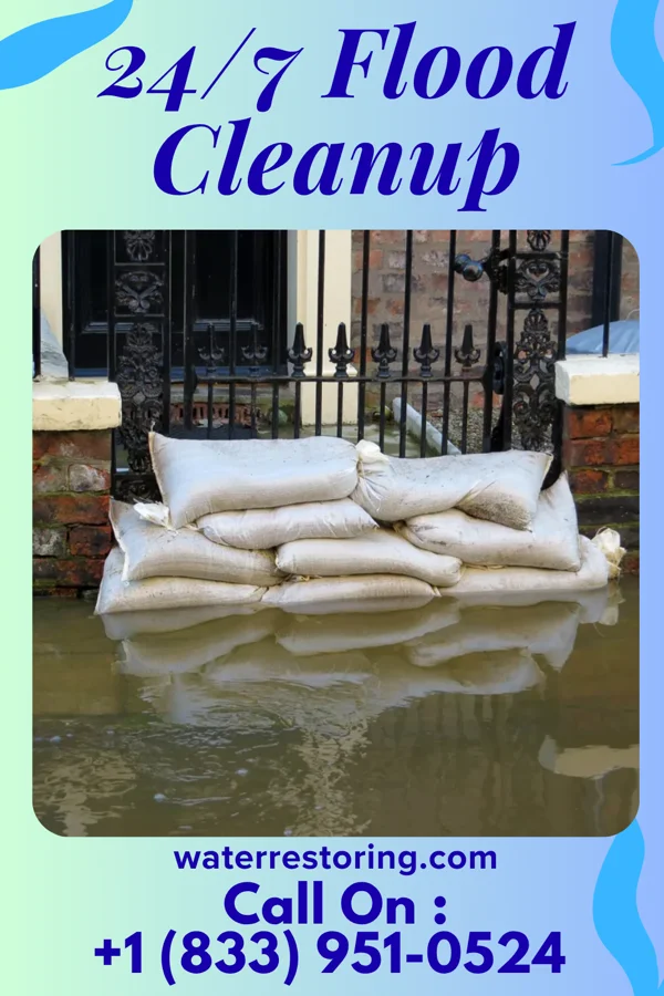 24/7 Flood Cleanup in Tustin, MI