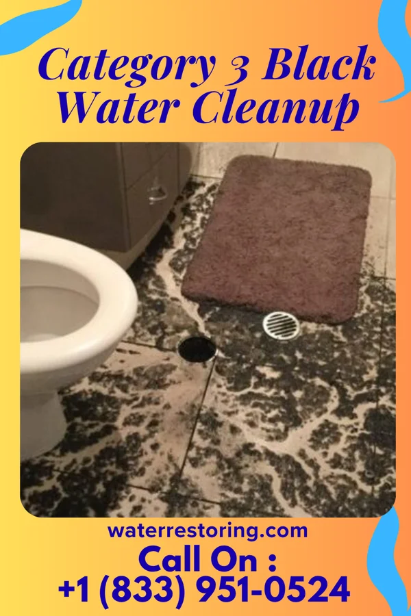 Category 3 Black Water Cleanup in Tustin, MI
