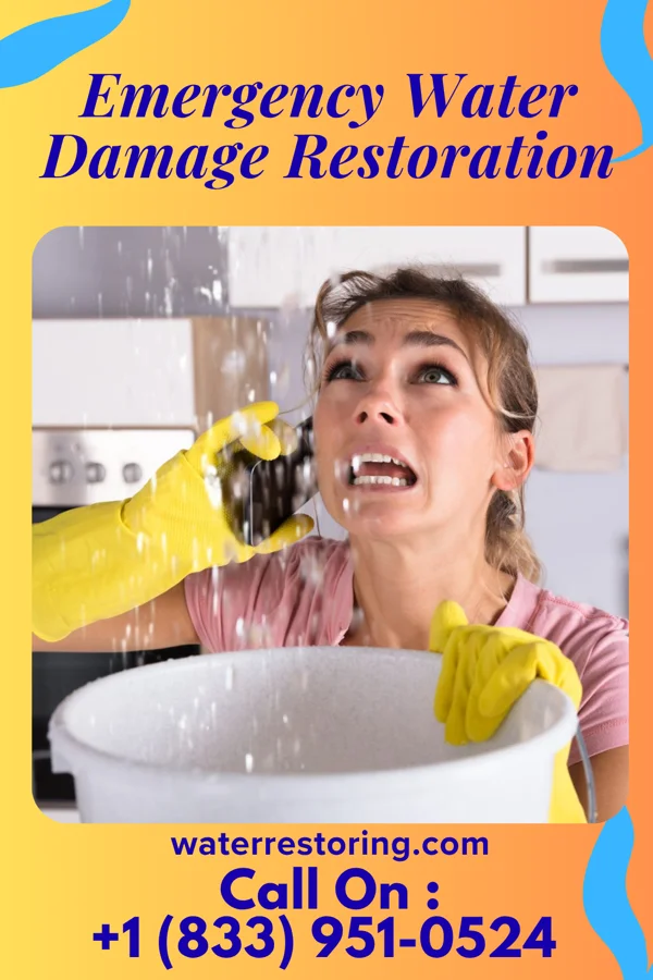 Emergency Water Damage Restoration in Tustin, MI