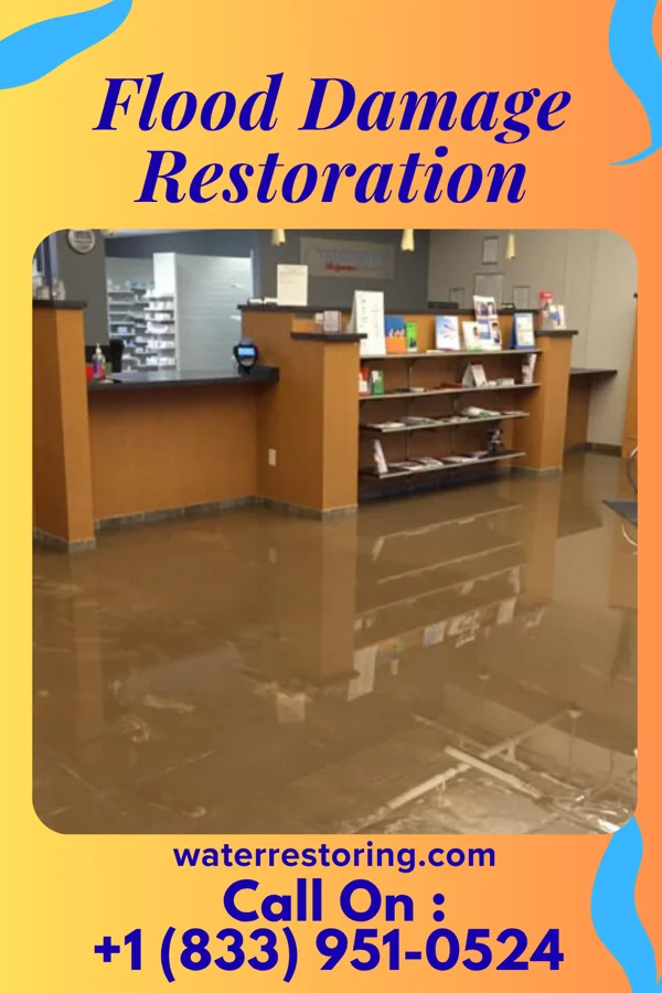 Flood Damage Restoration in Tustin, MI