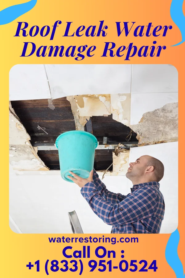 Roof Leak Water Damage Repair in Tustin, MI