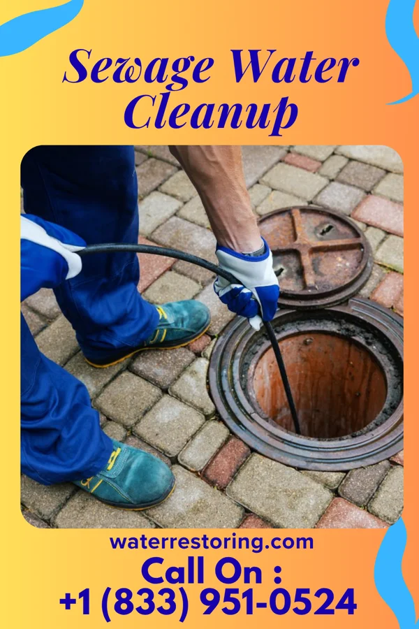 Sewage Water Cleanup in Tustin, MI